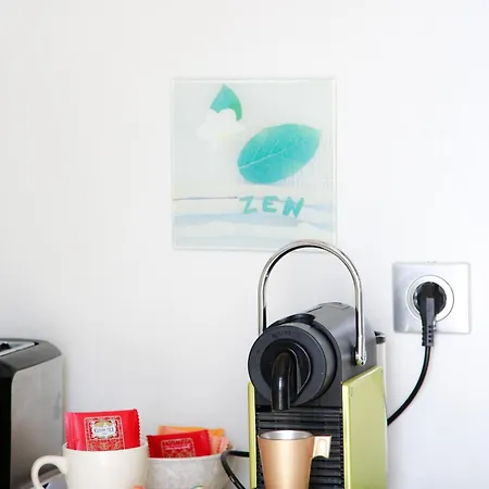 公寓 Duplex Climatise Avec Terrasse Vue Au Pied De La *