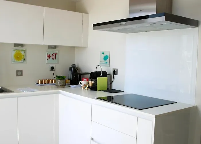 Duplex Climatise Avec Terrasse Vue Au Pied De La 公寓 *